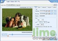 Flash Video MX PRO