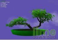 Go Bonsai
