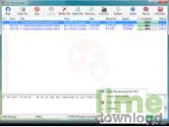 FLV Video Downloader