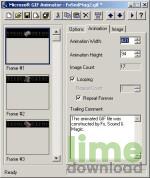 MS GIF Animator