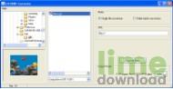 GIF2SWF Converter