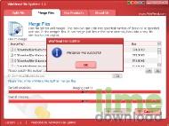 WinMend File Splitter