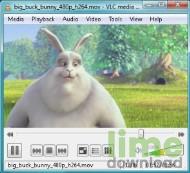 VLC Media Player