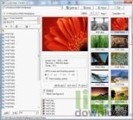 Ccy Image Viewer