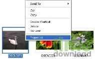 Exif Farm