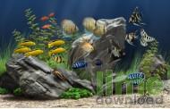 Dream Aquarium