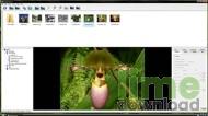 ImageEnhancer
