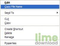 Copy File Name