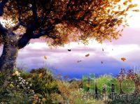 3D Trees Screensaver