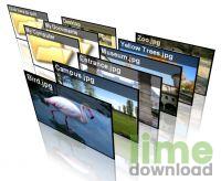 3D Picture Browser