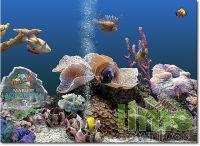 Marine Aquarium