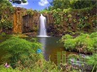 Nature Illusion Screensaver