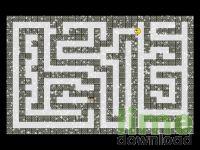 Exit Finder