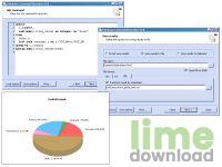 Database Command Executor