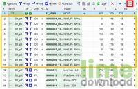 DAEX CUT BASIC