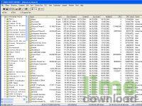 Directory Report