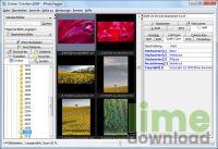 JPhotoTagger