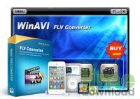 WinAVI FLV Converter