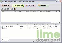 ZipTorrent