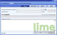DataNumen Excel Repair