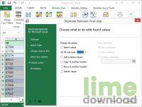 Duplicate Remover for Excel