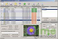 Fast Duplicate File Finder