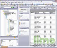 EMS MS SQL Manager