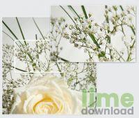 ACDSee Photo Studio Professional