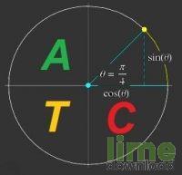 Advanced Trigonometry Calculator