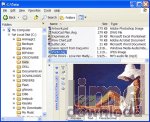 ExplorerView