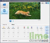 GIF to Flash Converter