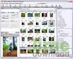 ACDSee Photo Manager