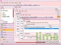 Efficient Lady's Organizer