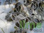 Fotky CZ - First winter