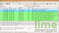 Wireshark