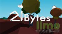 21 Bytes