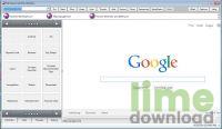 Net Viewer Lite