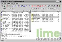MicroFTP 2000