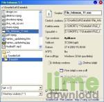 File Infoman