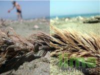 Easy White Balance Corrector