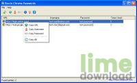 SterJo Chrome Passwords