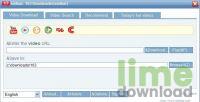 163 Video Downloader