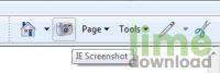 IE Screenshot