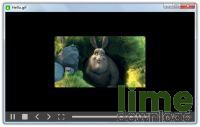 GIF Player