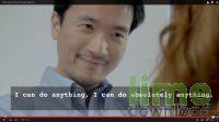 Penguin Subtitle Player