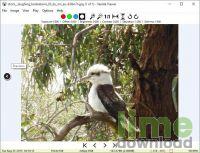 Veneta Viewer