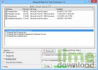 Mwisoft Word Text Converter