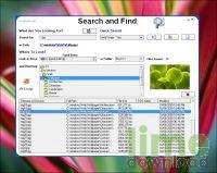 Search and Find