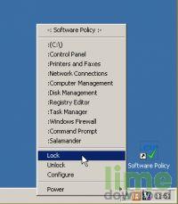 Software Policy