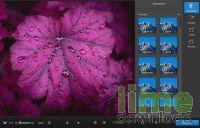 Movavi Photo DeNoise